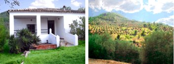 La casa y el entorno