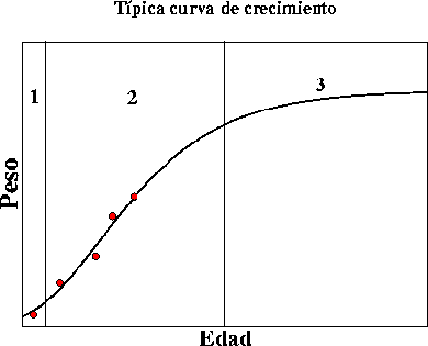 figura crecimiento