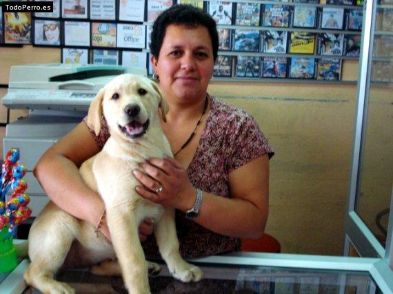 La foto del perro