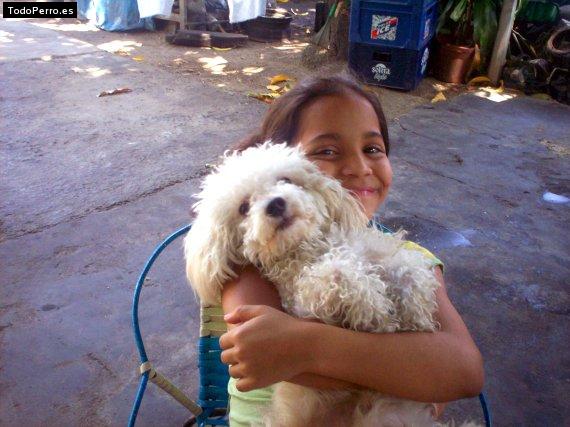 La foto del perro