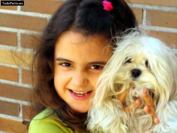 La foto del perro