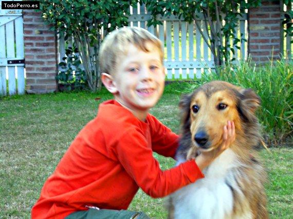 La foto del perro