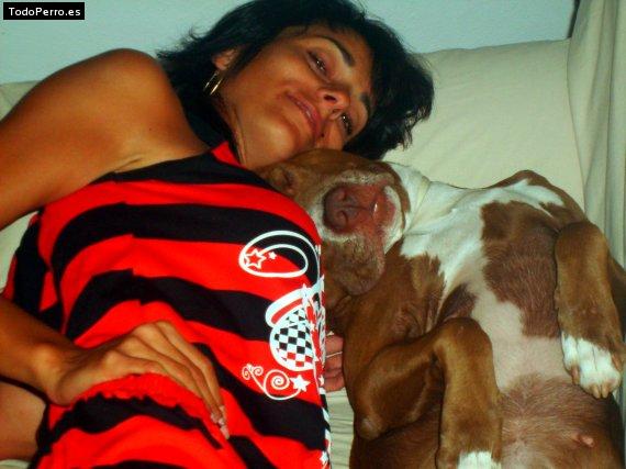 La foto del perro