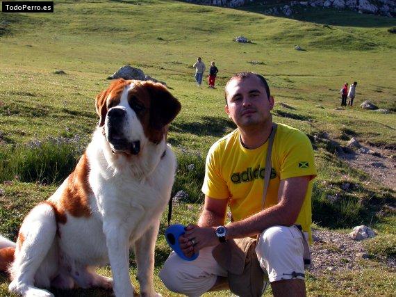 Foto del perro Coco
