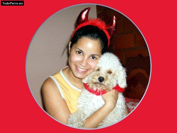 La foto del perro