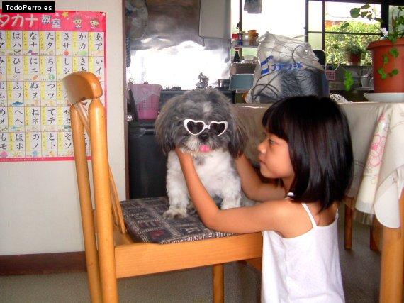 La foto del perro