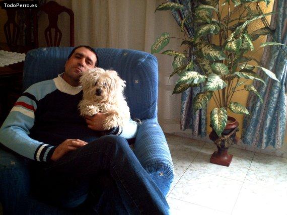 Foto del perro Micky