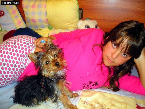 La foto del perro