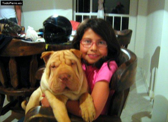 La foto del perro