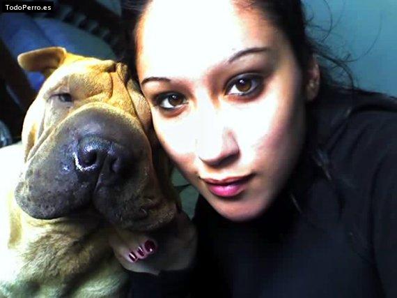La foto del perro