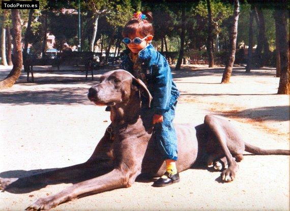 La foto del perro