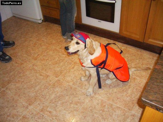 La foto del perro