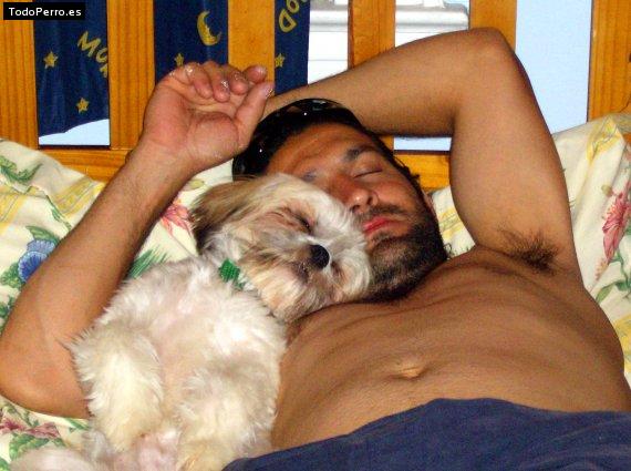 La foto del perro