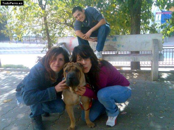 La foto del perro