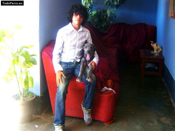 La foto del perro