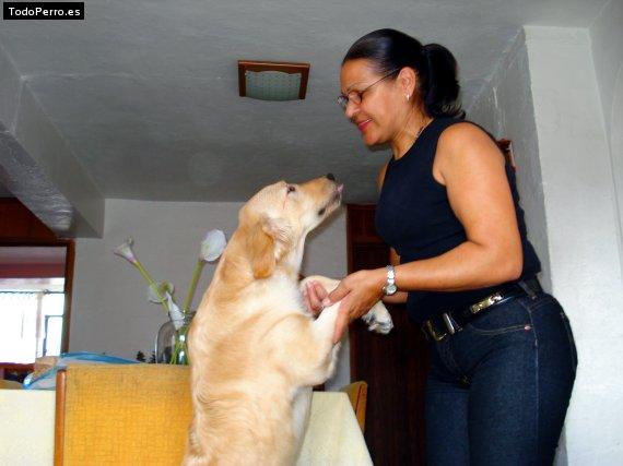La foto del perro