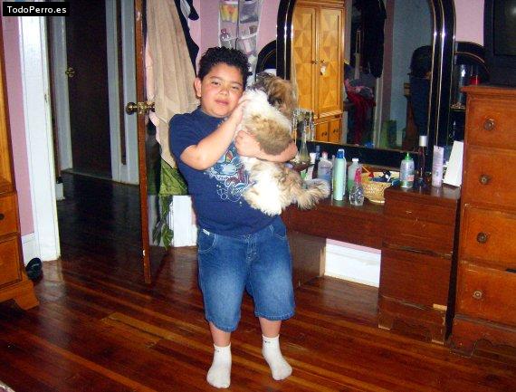 La foto del perro