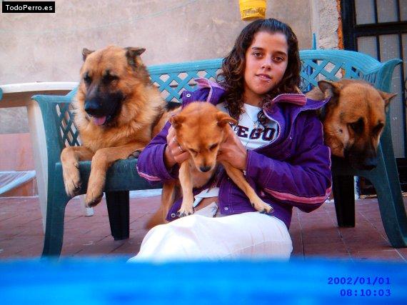La foto del perro