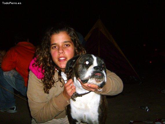 La foto del perro