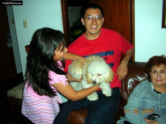 La foto del perro
