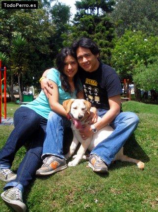 La foto del perro