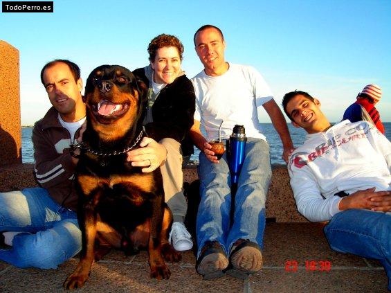 La foto del perro