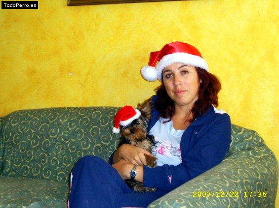 La foto del perro