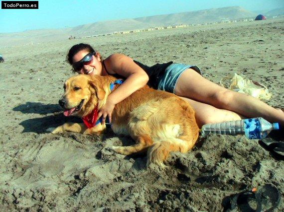 La foto del perro