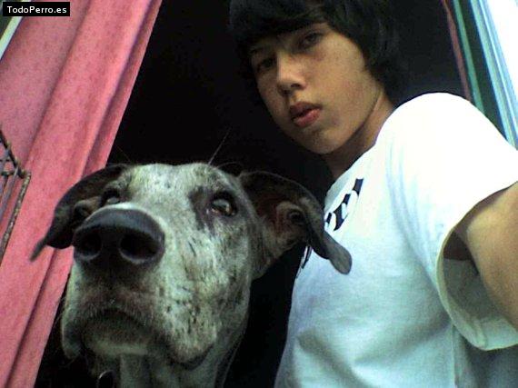 La foto del perro