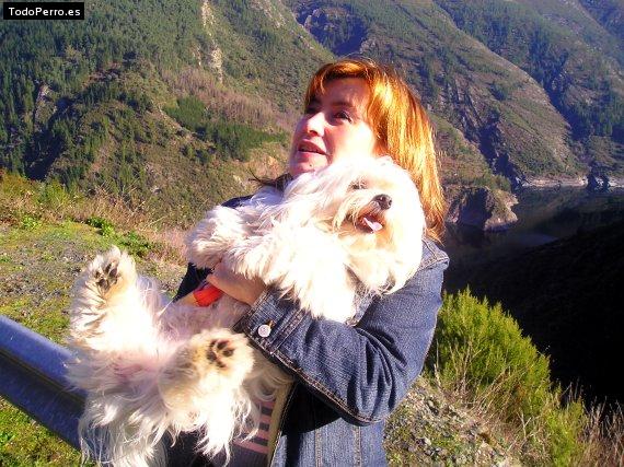 La foto del perro