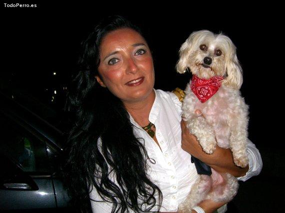 La foto del perro