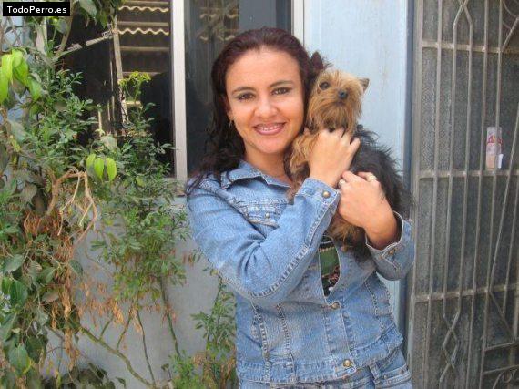 La foto del perro