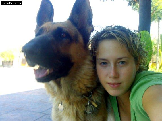 La foto del perro