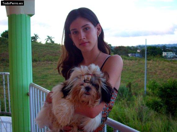 La foto del perro