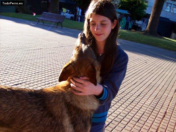 La foto del perro