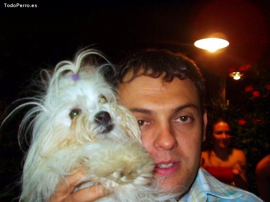 La foto del perro