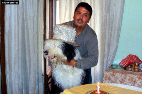 La foto del perro