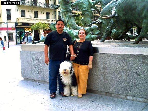 La foto del perro