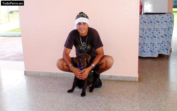 La foto del perro