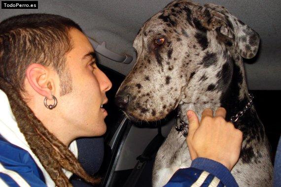 La foto del perro