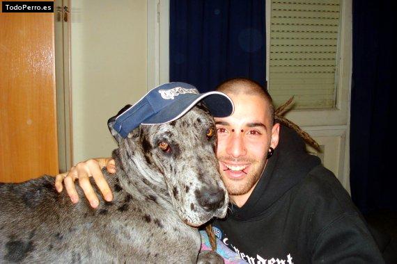 La foto del perro