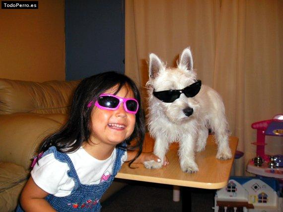 La foto del perro
