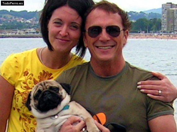 La foto del perro