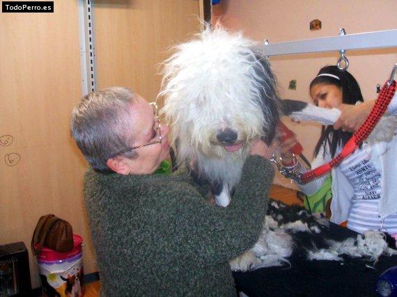 La foto del perro