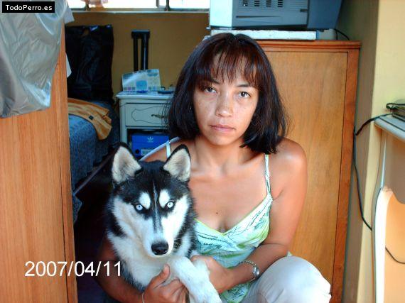 La foto del perro