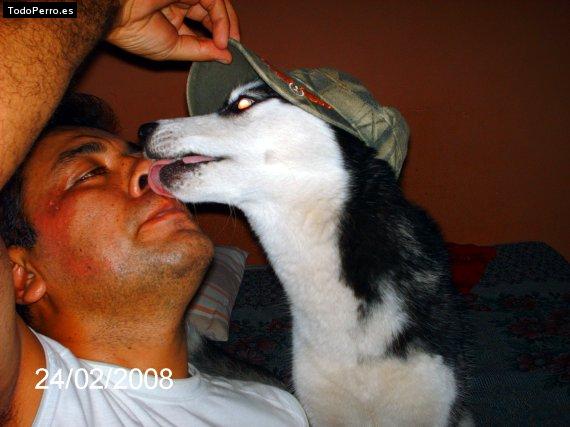 La foto del perro