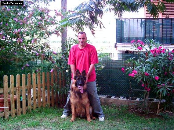 La foto del perro