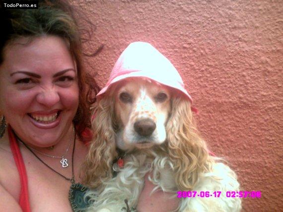 La foto del perro