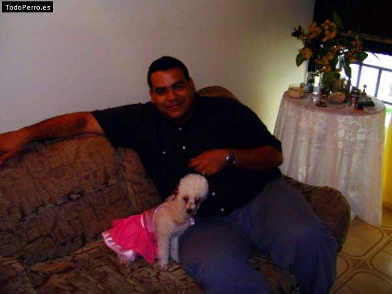 La foto del perro