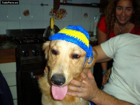 La foto del perro